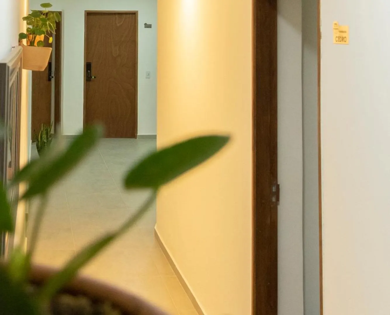 Madeira Boutique Hostel Medellín 0*,  Colombia