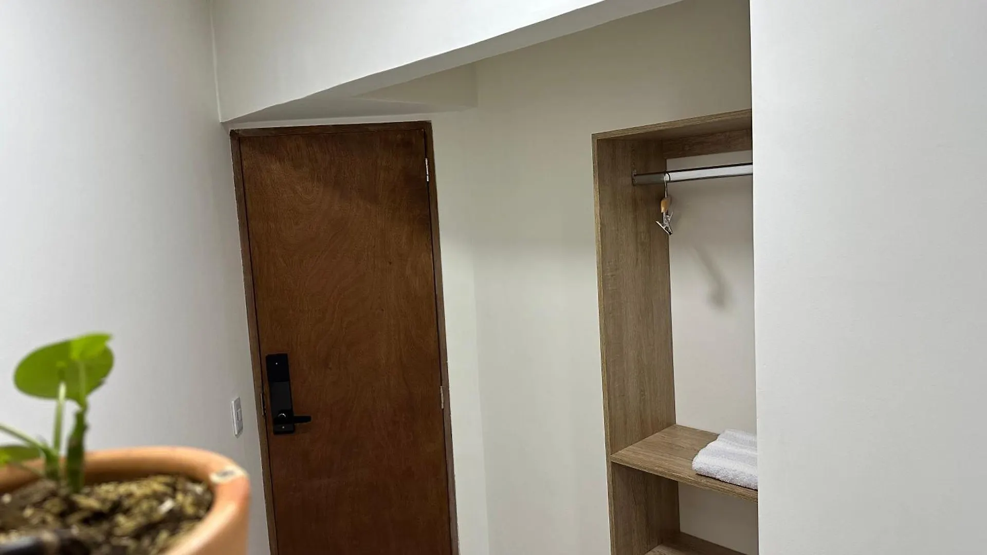Homestay szállás Madeira Boutique Hostel Medellín
