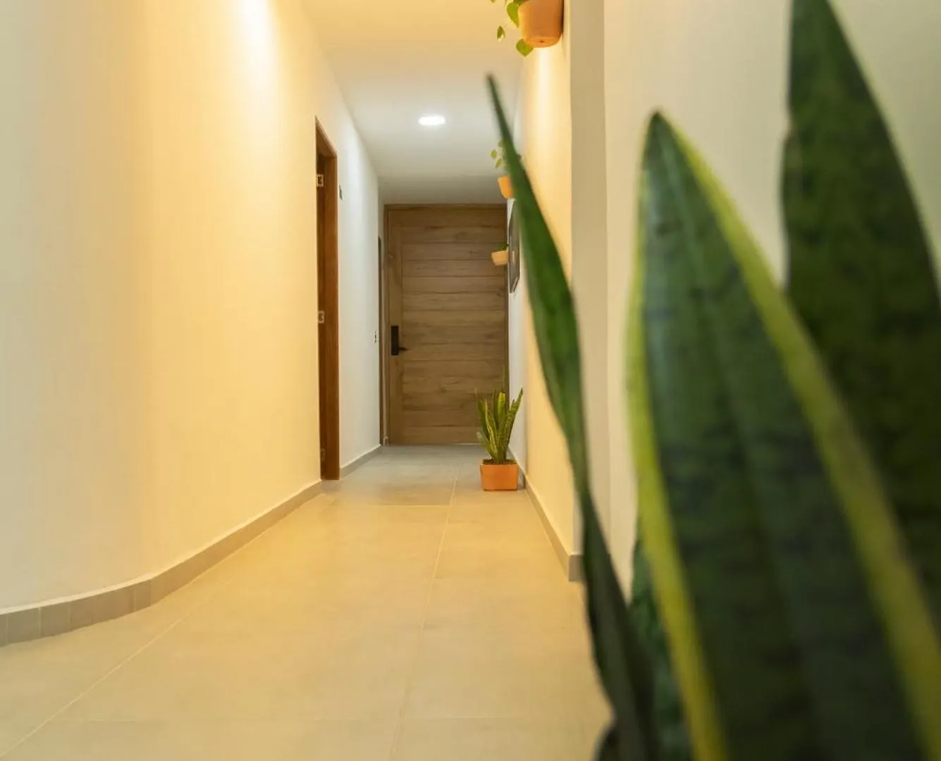 Madeira Boutique Hostel Medellín Homestay szállás